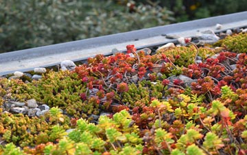 the cost of Grassthorpe green roof installation
