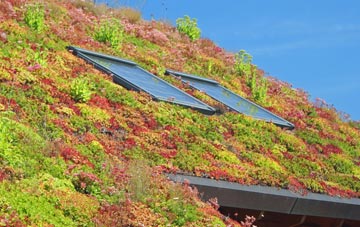Grassthorpe living roof systems