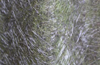 Grassthorpe fibreglass roof work